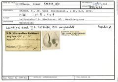 Karteikarte zum Lectotyp von Cristellaria sinus Karrer, 1870